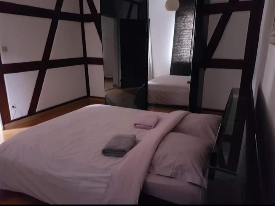 Spacious Appartement Colmar 2 מראה חיצוני תמונה
